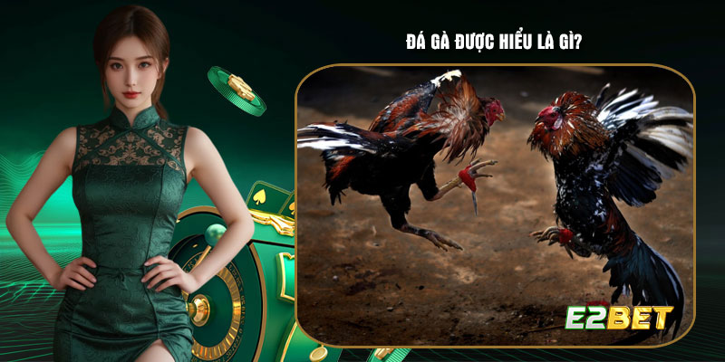 Đá gà được hiểu là gì?