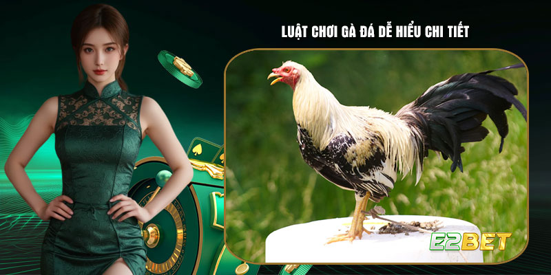 Luật chơi gà đá dễ hiểu chi tiết