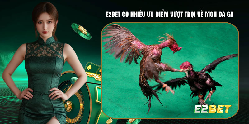 E2bet có nhiều ưu điểm vượt trội về môn đá gà