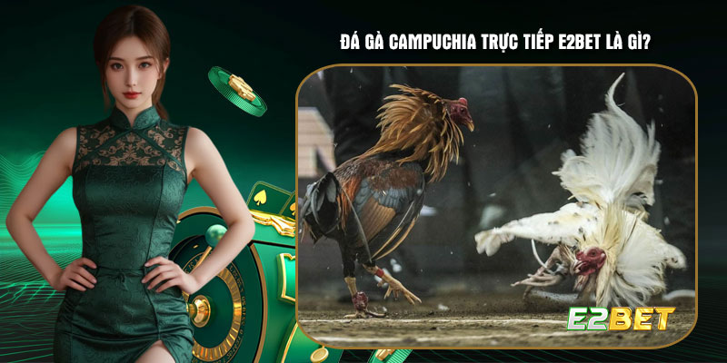 Đá gà Campuchia trực tiếp E2bet là gì?
