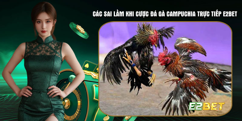 Các sai lầm khi cược đá gà Campuchia trực tiếp E2bet