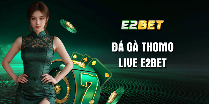 Kinh nghiệm chọn trận đá gà Thomo live E2bet như chuyên gia