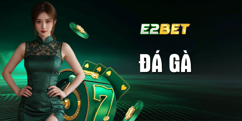Đá gà E2bet - Luật chơi và cách phân tích kèo uy tín