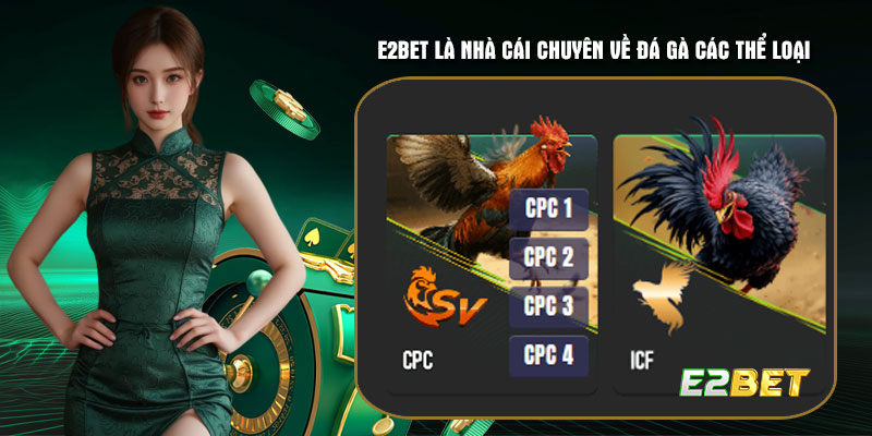 E2bet là nhà cái chuyên về đá gà các thể loại