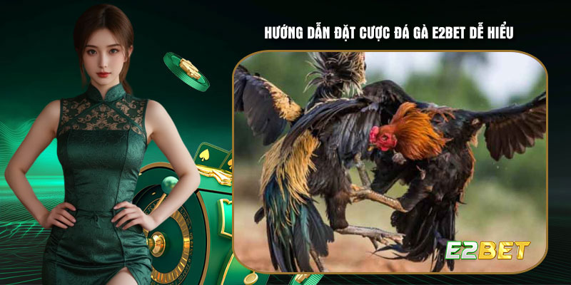 Hướng dẫn đặt cược đá gà E2bet dễ hiểu