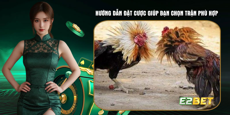 Hướng dẫn đặt cược đá gà E2bet giúp bạn chọn trận phù hợp