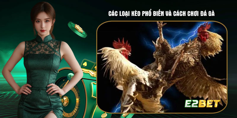 Dưới đây là các loại kèo phổ biến và cách chơi đá gà