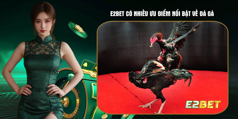 E2bet có nhiều ưu điểm nổi bật về đá gà