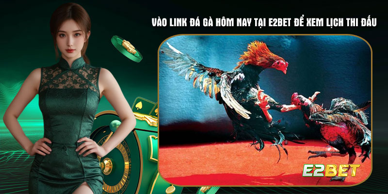 Vào link đá gà hôm nay tại E2bet để xem lịch thi đấu