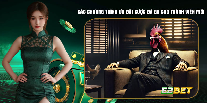 Các chương trình ưu đãi cược đá gà cho thành viên mới nổi bật
