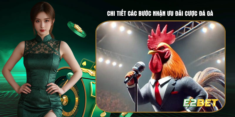 Chi tiết các bước nhận ưu đãi cược đá gà cho thành viên mới