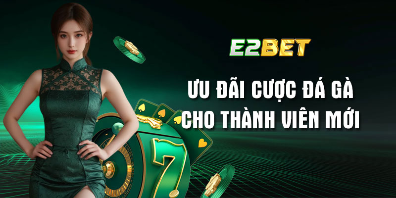 Ưu đãi cược đá gà cho thành viên mới: Tặng quà bất ngờ